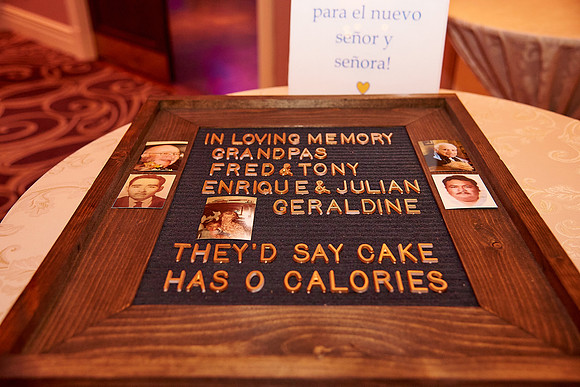 The Palace at Somerset Park, Somerset NJ Wedding Photography Pictures