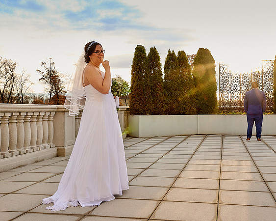 The Palace at Somerset Park, Somerset NJ Wedding Photography Pictures