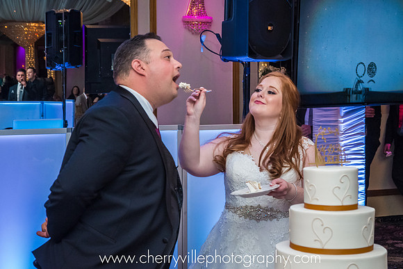 #TheAtrium #CherryvillePhotography #NJWedding1552
