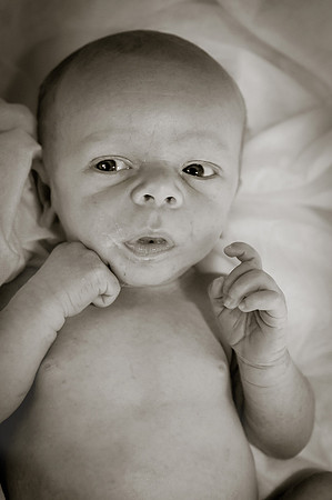 184CherryvillePhotography