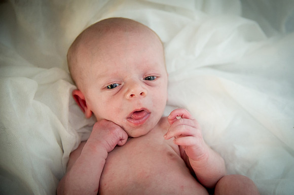 183CherryvillePhotography
