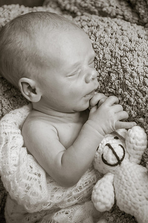 081CherryvillePhotography