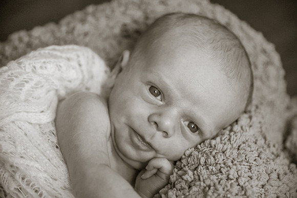 111CherryvillePhotography