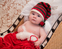 Blaus Christmas 2015