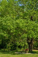 013CherryvillePhotography