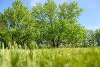 015CherryvillePhotography