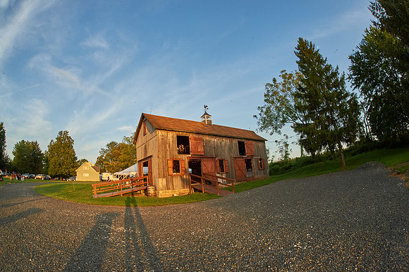#CherryvillePhotography #TheFarmsteadRingoes1261