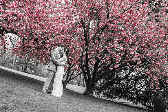 116CherryvillePhotography
