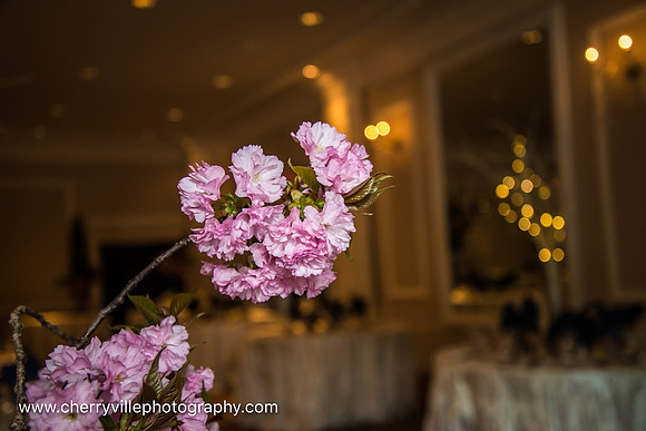 12,#NJWedding #Rasberrys #CherryvillePhotography cherryville-photography-clinton-hunterdon-county-NJ-wedding-photographer