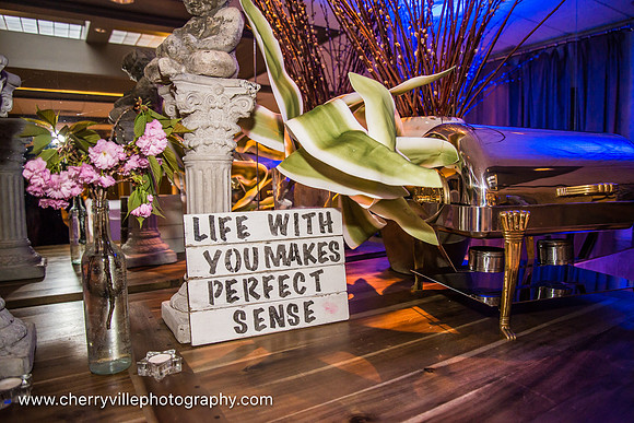 46,#NJWedding #Rasberrys #CherryvillePhotography cherryville-photography-clinton-hunterdon-county-NJ-wedding-photographer