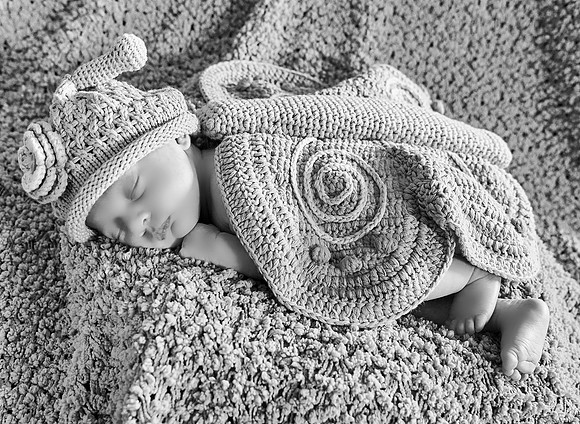 045CherryvillePhotography