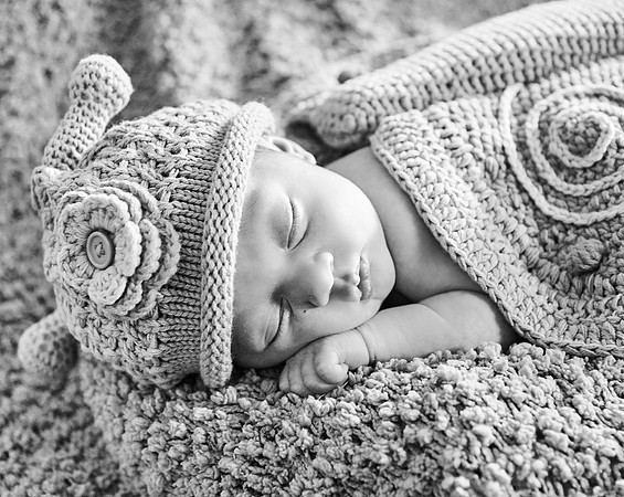 035CherryvillePhotography