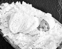 005CherryvillePhotography