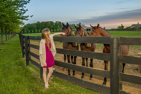 225CherryvillePhotography