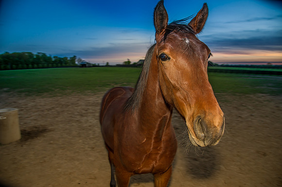 227CherryvillePhotography