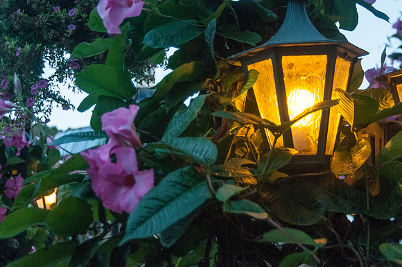 CherryvillePhotography001-24
