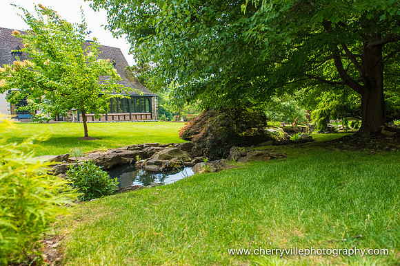 1clinton-hunterdon-county-NJ-wedding-photographer, cute-sweet--fun-must-have-bride-groom-picture53