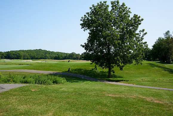 217Cherryville