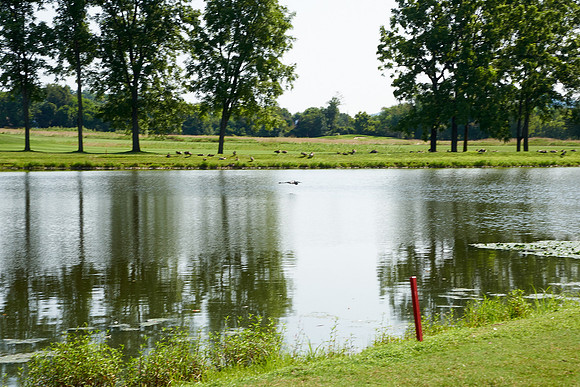 172Cherryville