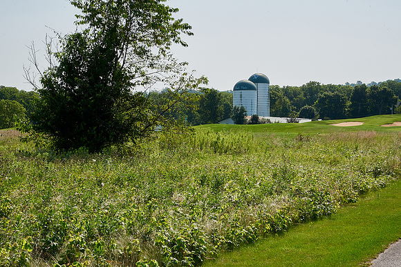 197Cherryville