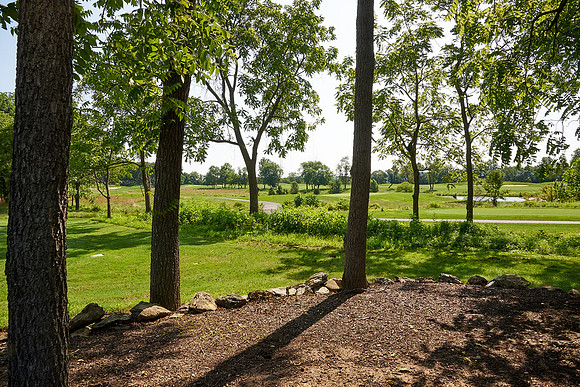 259Cherryville