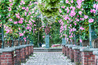 CherryvillePhotography001-11