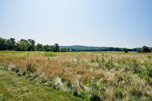179Cherryville