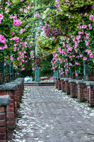 CherryvillePhotography001-17
