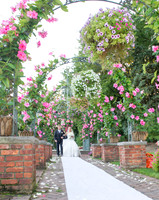 CherryvillePhotography001-18