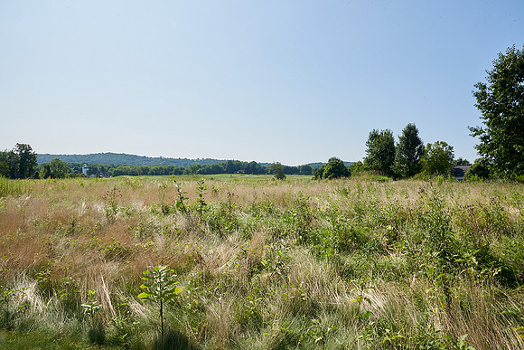 180Cherryville