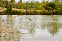 #CherryvillePhotography #EagleEstate 15