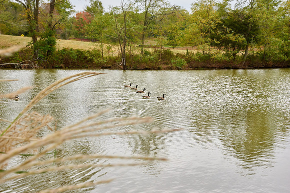 #CherryvillePhotography #EagleEstate 15