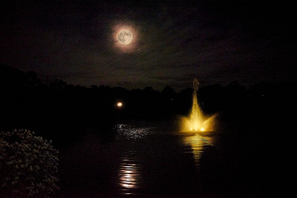 #CherryvillePhotography #EagleEstate 150