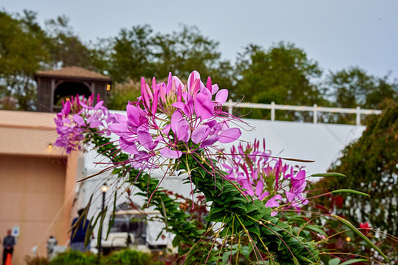 #CherryvillePhotography #EagleEstate 122