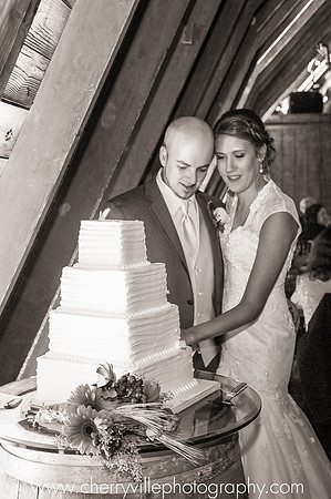 #PeronaFarm #CherryvillePhotography #NJWedding  #NJWedding #CherryvillePhotography cherryville-photography-clinton-hunterdon-county-NJ-wedding-photographer1387