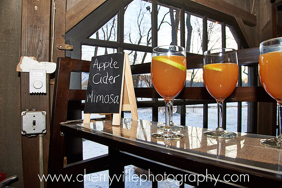 #WaterlooVillage ##When2BecomesFun #NJWedding #CherryvillePhotography cherryville-photography-clinton-hunterdon-county-NJ-wedding-photographer1601