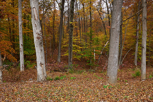 054Cherryville