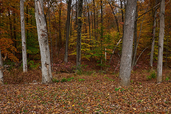 053Cherryville