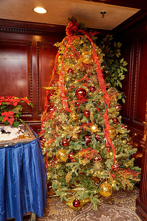 #CherryvillePhotography #MadisonInn1807