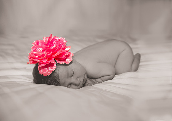 newborn, nj-photographer, must-have-baby-pictures, baby-pictures, cute, sweet, clinton-nj-photographer