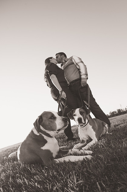 Engagement session with dogs