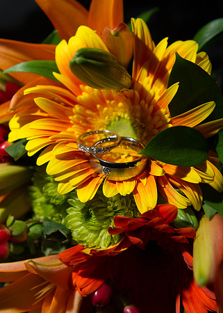 CherryvillePhotography0004