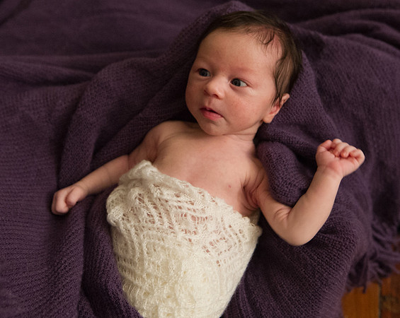 FFF_3531
