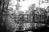 00003Cherryville