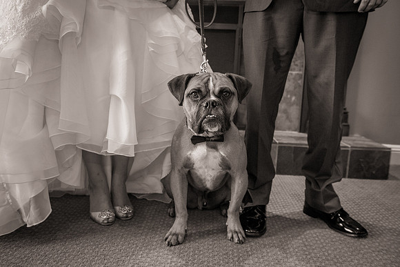 20,clinton-hunterdon-county-NJ-wedding-photographer, cute-sweet--fun-must-have-bride-groom-picture-beaver-brook-cc-cherryville-photography