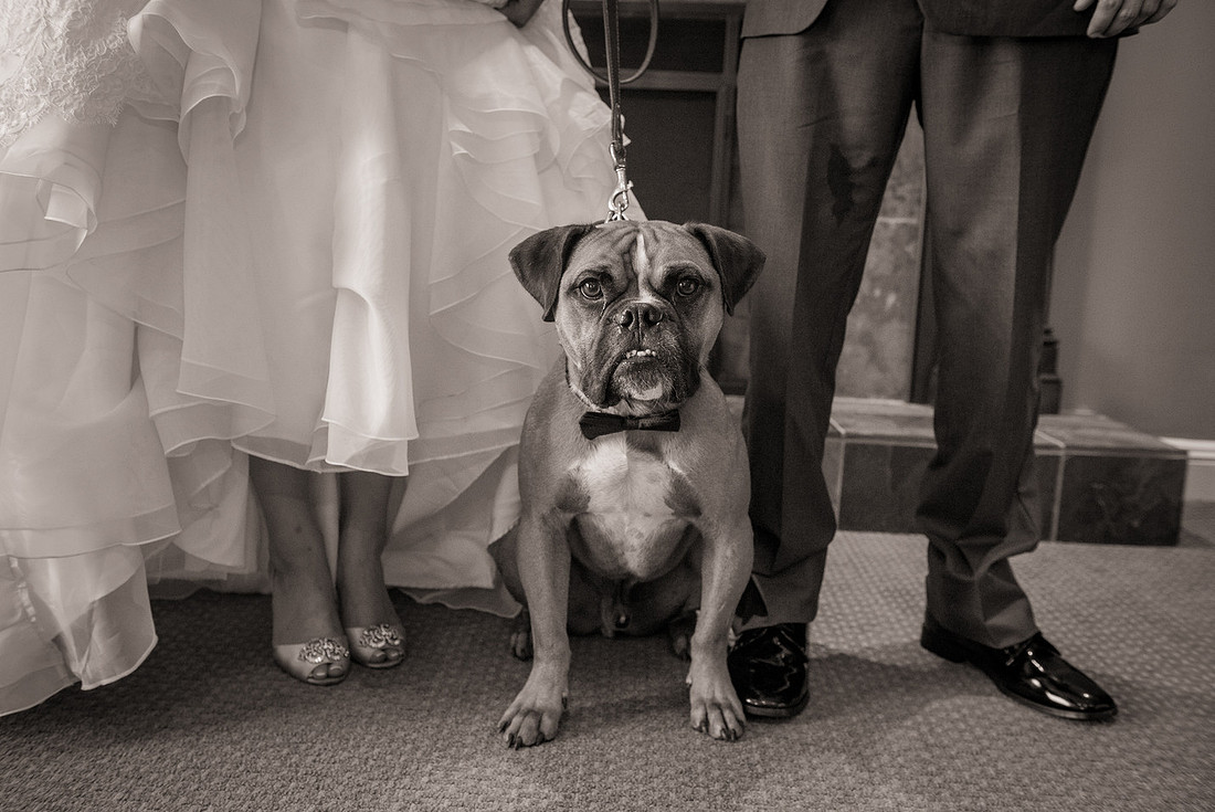 1,clinton-hunterdon-county-NJ-wedding-photographer, cute-sweet--fun-must-have-bride-groom-picture-beaver-brook-cc-cherryville-photography