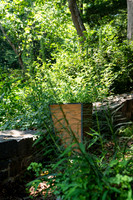 013Cherryville