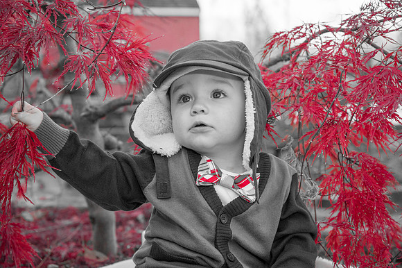 088CherryvillePhotography